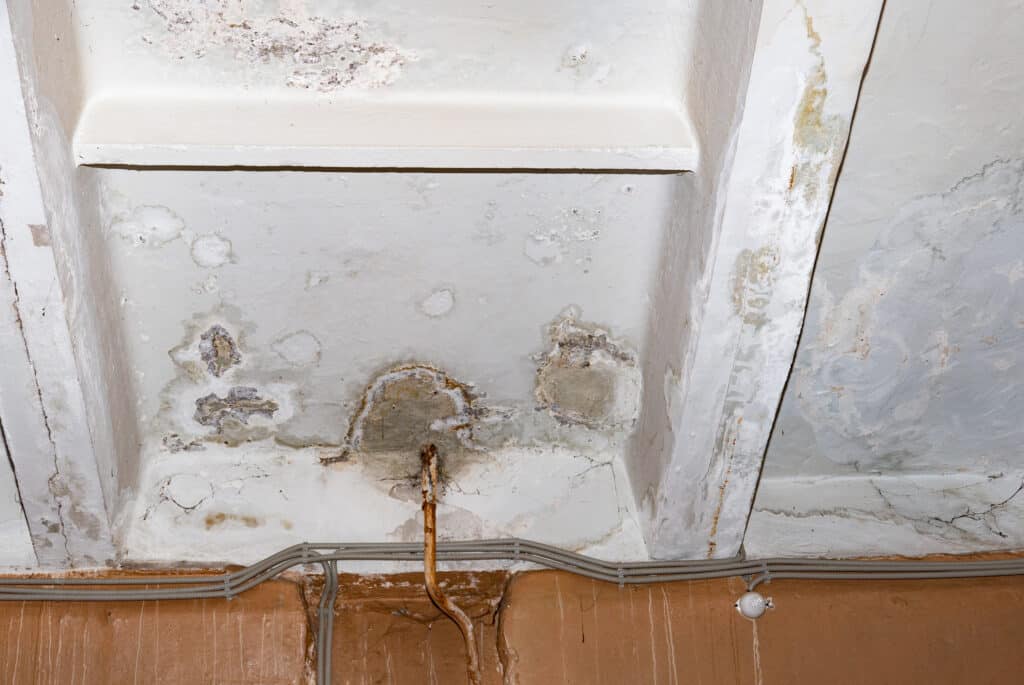 Leak Detection Services.
